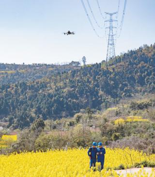 金牛所 “人工智能+”，央企咋布局？