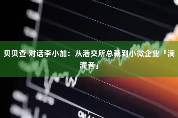贝贝查 对话李小加：从港交所总裁到小微企业「滴灌者」