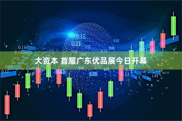 大资本 首届广东优品展今日开幕