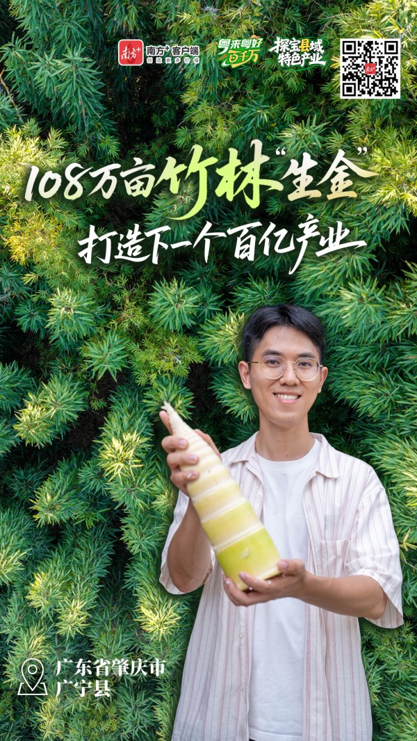 天创网 卖空气也能赚钱，肇庆广宁“小竹子”撬动大产业｜粤来粤好百千万