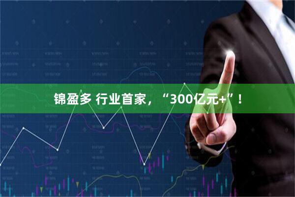 锦盈多 行业首家，“300亿元+”！